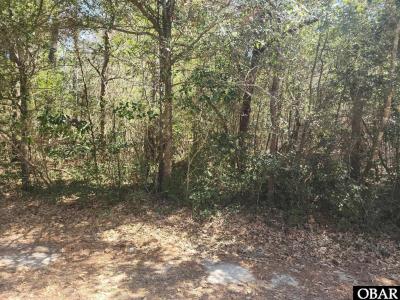 0 Holly Ridge Road Lot Parcel B, Manteo, North Carolina 27954