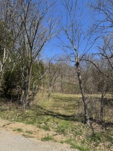 0 Crews Hollow Road, Manchester, Теннесси 37355, Соединенные Штаты
