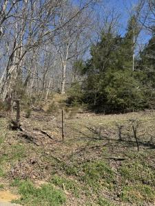 0 Crews Hollow Road, Manchester, Теннесси 37355, Соединенные Штаты