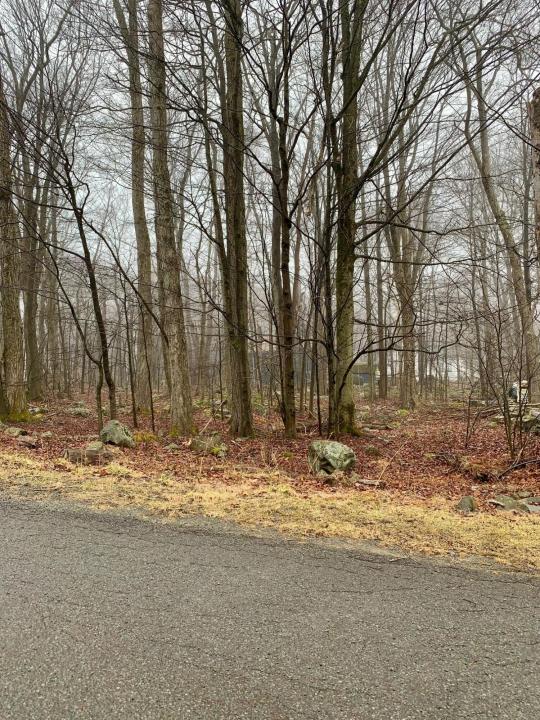 382 Fairmount Way, Tobyhanna, Pennsylvania 18466, Amerika Birleşik Devletleri