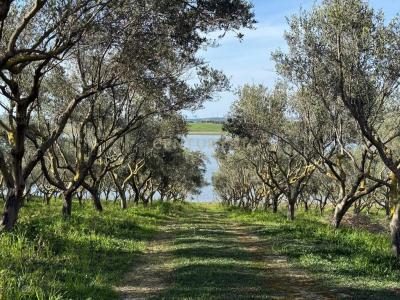 Rubjekë, Durrës, Albania