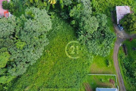 Terrain à Bâtir Roches Carrées, Le Lamentin, Fort-de-France, Martinique