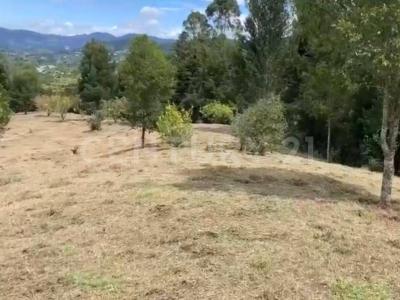 Rionegro, Antioquia 00001, Colombie