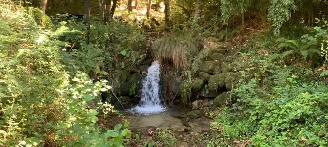 Póvoa De Lanhoso, Braga 4830-212, Portugal