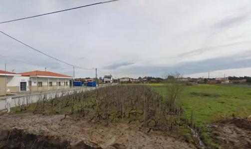 Vagos, Aveiro 3840-166, Portugal