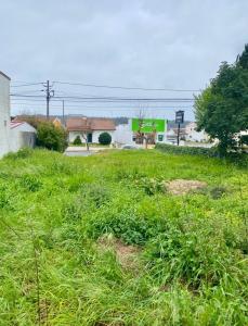 Nazaré, レイリア 2450-364, ポルトガル