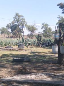 Una fracción del predio rustico 3ra cerrada de sinaloa 4,, Tizayuca, Hidalgo 43820, Mexique