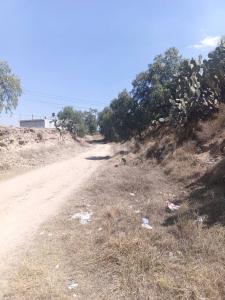 Una fracción del predio rustico 3ra cerrada de sinaloa 4,, Tizayuca, Hidalgo 43820, Mexique