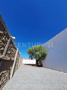 Guadalupe, 萨卡特卡斯 98604, 墨西哥