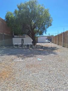 Guadalupe, 萨卡特卡斯 98604, 墨西哥