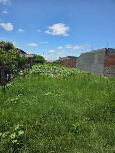 camino a clara chuchio , Norte, Santa Cruz 00001, Боливия