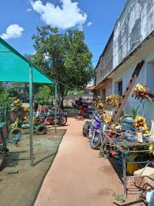 Calle General Roa c/ Juan E. O`Leary Barrio Centro , Caacupé, Cordillera 00001, 巴拉圭