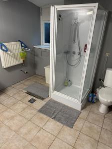 Schaliestraat 11, Gent, 9000, 比利时