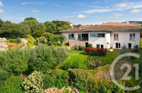 Monticello, Corse 20220, France