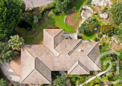 Monticello, Corse 20220, France