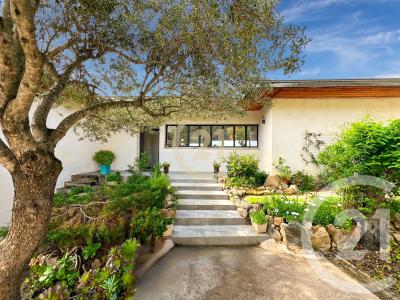 Monticello, Corse 20220, France