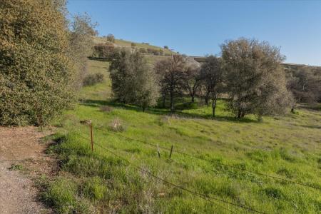 670 Murphys Grade Road, Angels Camp, カリフォルニア 95222, アメリカ合衆国