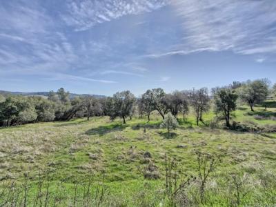 670 Murphys Grade Road, Angels Camp, カリフォルニア 95222, アメリカ合衆国
