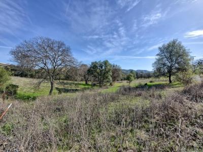 668 Murphys Grade Road, Angels Camp, カリフォルニア 95222, アメリカ合衆国