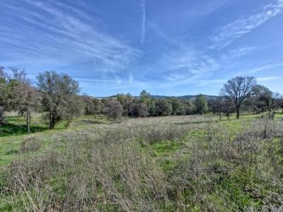 668 Murphys Grade Road, Angels Camp, カリフォルニア 95222, アメリカ合衆国