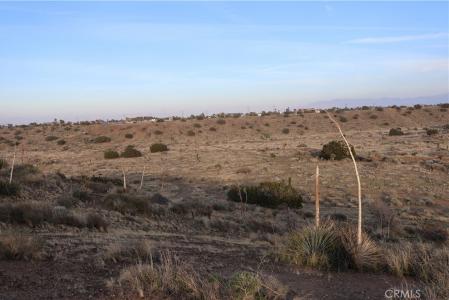 9955 Macron Street, Oak Hills, Californie 92344, États-Unis