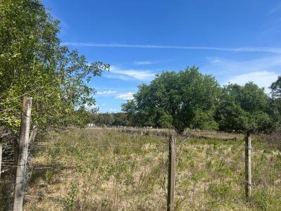4810 Windmill Road, Loxahatchee, Florida 33470