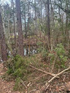 104 Bowfin Drive, East Palatka, Florida 32177, USA