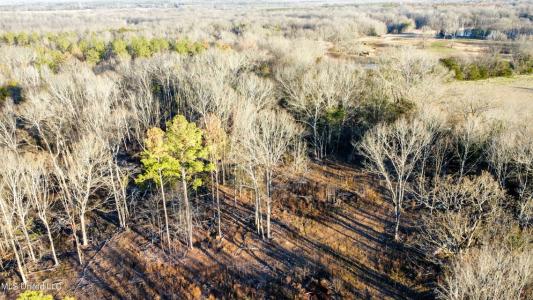 5370 Clinton Tinnin Road Lot #9, Jackson, Mississippi 39209