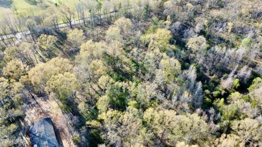 5370 Clinton Tinnin Road Lot #9, Jackson, Mississippi 39209