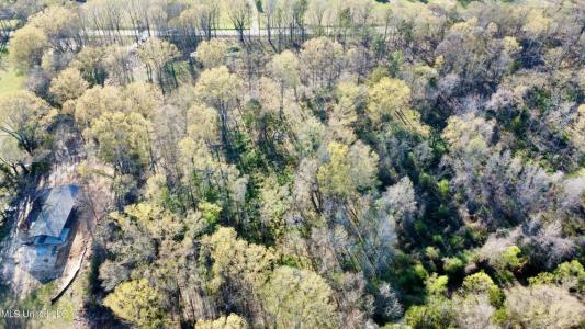 5370 Clinton Tinnin Road Lot #9, Jackson, Mississippi 39209