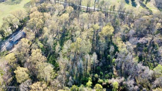 5370 Clinton Tinnin Road Lot #9, Jackson, Mississippi 39209, USA