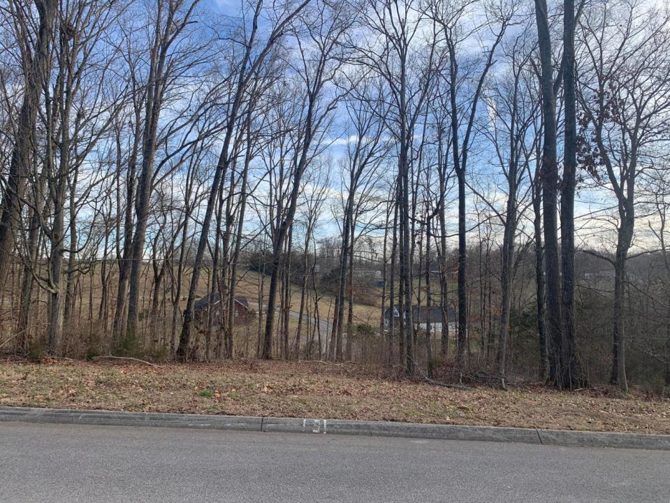 6276 Outlook Trail, Russellville, 田納西州 37860, 美國