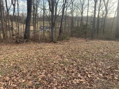 6276 Outlook Trail, Russellville, Tennessee 37860, USA