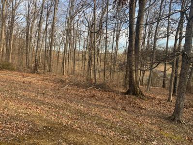 6276 Outlook Trail, Russellville, 田納西州 37860, 美國