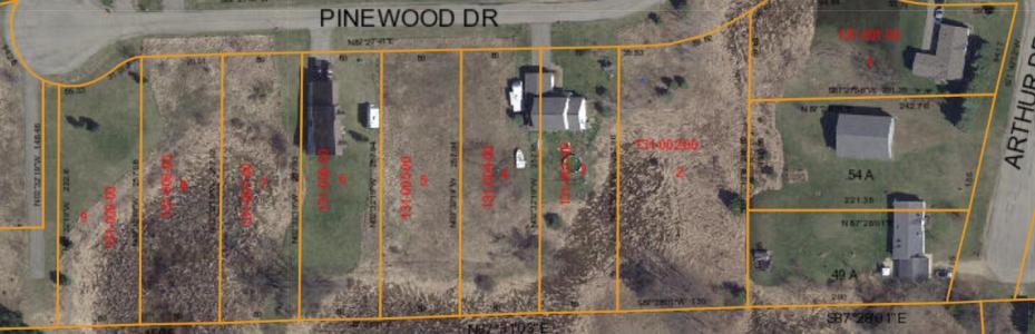 VL Pinewood Drive, Grass Lake, 密西根州 49240, 美國