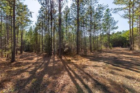 R28371 County Road 411, San Augustine, Техас 75972, Соединенные Штаты