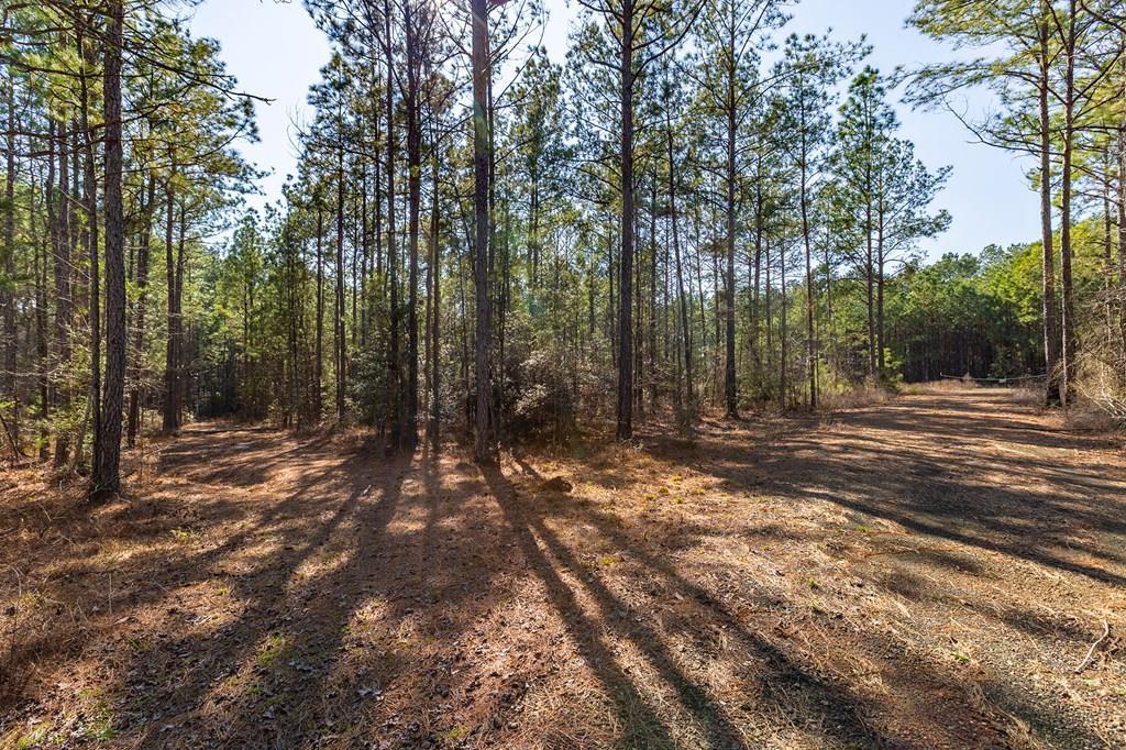 R28371 County Road 411, San Augustine, 得克萨斯州 75972, 美国