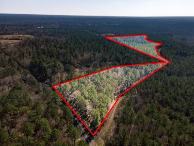 R28371 County Road 411, San Augustine, 得克萨斯州 75972, 美国