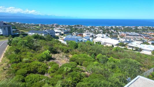 Plettenberg Bay, Western Cape, דרום אפריקה 