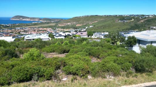 Plettenberg Bay, Western Cape, דרום אפריקה 