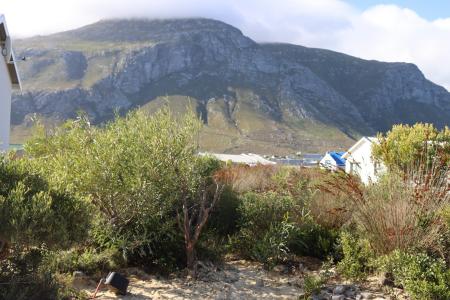 Bettys Bay, Western Cape, South Africa