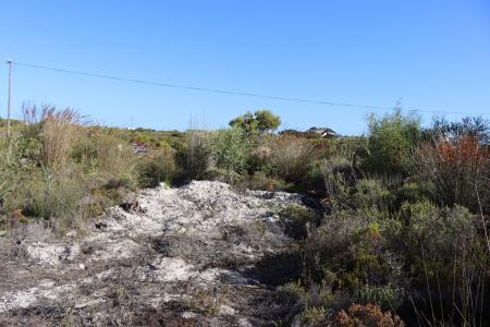 Bettys Bay, Western Cape, South Africa