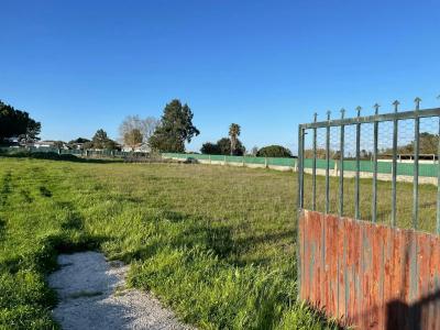 Palmela, Setúbal 2955-078, Portugal