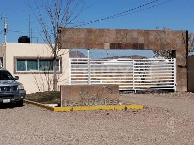 Meoqui, Chihuahua 33131, Mexique