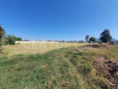 Calle Camino a Nexatengo, San Agustin Ixtlahuixtla, Municipio de Atlixco, Puebla ,, Atlixco, Puebla 74360, Mexico