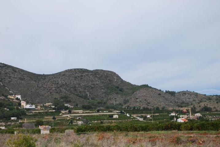 Alacant/Alicante, Comunitat Valenciana 03780, 西班牙