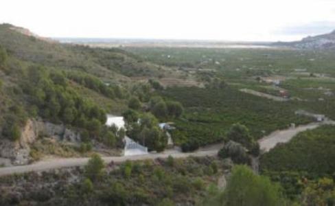 Alacant/Alicante, Comunitat Valenciana 03780, 西班牙
