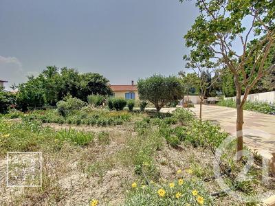 Millas, Languedoc-Roussillon 66170, França