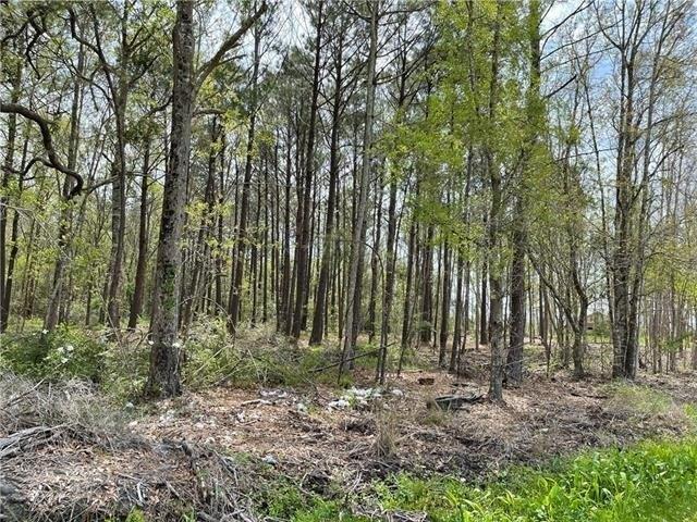 DOWNEY Road, Slidell, 路易西安納州 70461, 美國