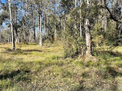 DOWNEY Road, Slidell, 路易西安納州 70461, 美國